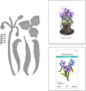 Spellbinders Susan’s Garden snijmal Spiderwort kopen – bloemen snijmal
