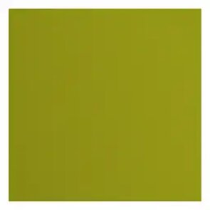 Cardstock - Structuur Fern - Florence