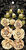 Graphic 45 Bloemen Ivoor