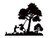 stempel - Swing-FF Stempelset - Clarity