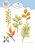 Spellbinders snijmal Autumn Foliage kopen – herfst bladeren snijmal