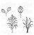 Heartfelt Creations Floral Shoppe Fillers bundel – stempel + snijmal