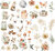   Die Cuts - Woodland Tales  - Craft Consortium