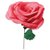 Sizzix Thinlits Classic Rose 664923 – maak prachtige grote rozen van crêpepapier