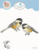 Elizabeth Craft Designs Chickadee 2247 – een lief 3D-vogeltje voor ieder seizoen