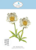 Elizabeth Craft Designs Blackfoot Daisy Snijmal 2378 