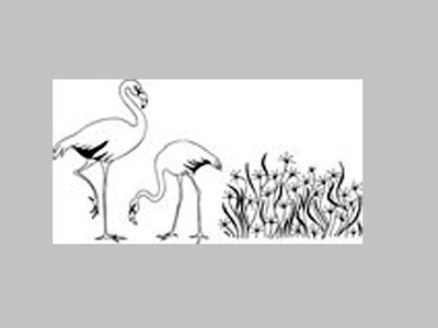 Clarity stamp flamingo's en gras stempelset 27