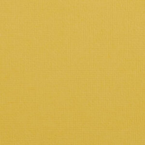 Cardstock 12x12 - Structuur 216 Grams - Bee - Florence
