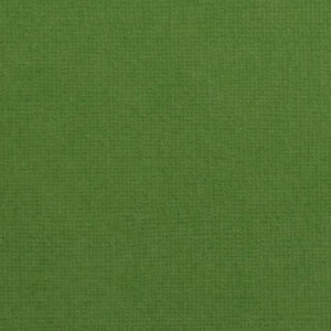 Cardstock 12x12" - Structuur - Grasshopper - Florence