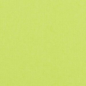 Cardstock 12x12" - Structuur - Pistachio - Florence