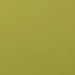Cardstock 12x12" - Structuur - Mustard  - Florence