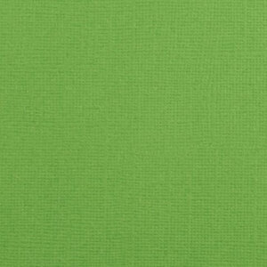 Cardstock 12x12" - Glad - Frog - Florence