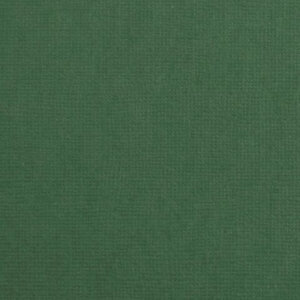 Cardstock 12x12" - Glad - Pine - Florence