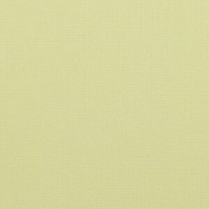 Cardstock 12x12" - Structuur - Pudding - Florence