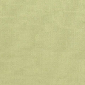   Cardstock 12x12" - Structuur - Salamander - Florence