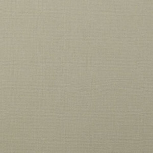 Cardstock 12x12" - Structuur - Mouse - Florence