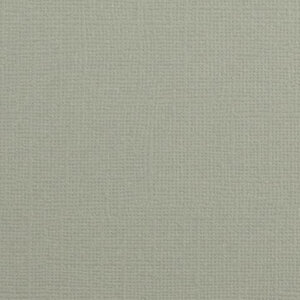 Cardstock  12x12" - Glad -Tin Black - Florence