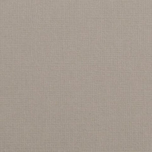Cardstock  12x12" - Sructuur - Rhino - Florence