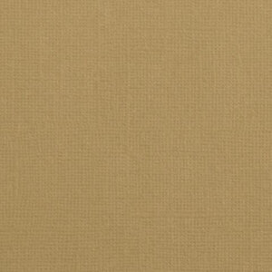  Cardstock 12x12"  - Structuur - Peanut - Florence
