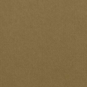 Cardstock 12x12" - Structuur - Lion - Florence