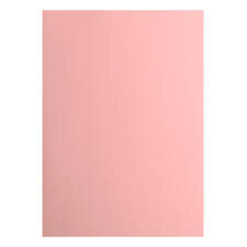 cardstock Florence rose