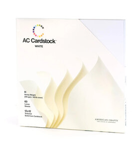 Cardstock  12x12" - Structuur - Wit - 60 vel - American Craft 