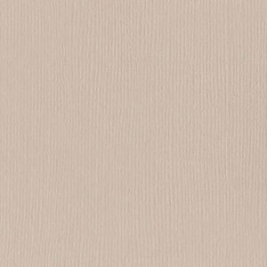 Cardstock 12x12" - Mono Canvas - Twig- Bazzill