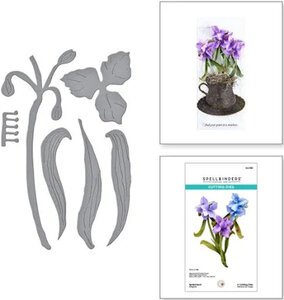 Spellbinders Susan’s Garden snijmal Spiderwort kopen – bloemen snijmal