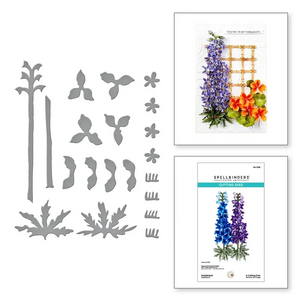 Delphinium Snijmal – Elegante ridderspoor uit Spellbinders Susans Garden Collectie