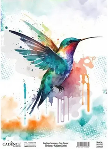 Birdsong  transfer  30x42 cm – Kolibrivogels - cadence