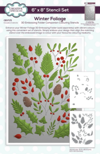 Creative Expressions Winter Foliage Colouring Stencil – Bijpassende Kleurstencils voor 3D Embossingfolder