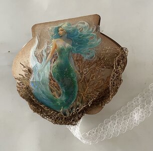 pakket voor het maken van een pop up schelp