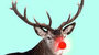 Nuvo Dream Drops Rudolph’s Nose – Magisch rood met een iriserende glans_