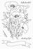 Wild Poppy’s bundel kopen – MFT stempel en snijmal met 10% korting_