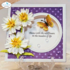 Elizabeth Craft Designs Blackfoot Daisy Snijmal 2378 _