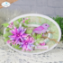 Elizabeth Craft Designs Sparrow Snijmal 2380_